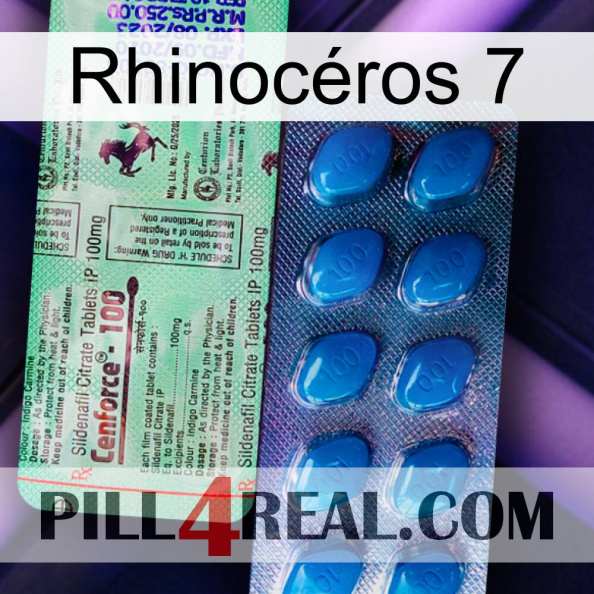 Rhinocéros 7 new02.jpg